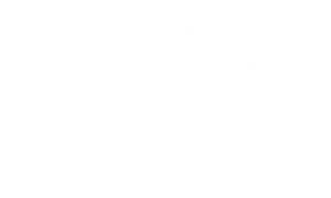 global 360