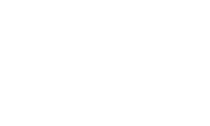 gorila