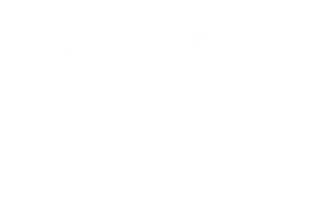 startud bridge